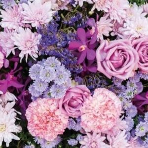 Meet your Posher, Violet